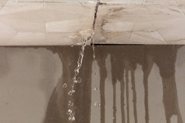 Professional Structural Drying technician working in Burkettsville, OH